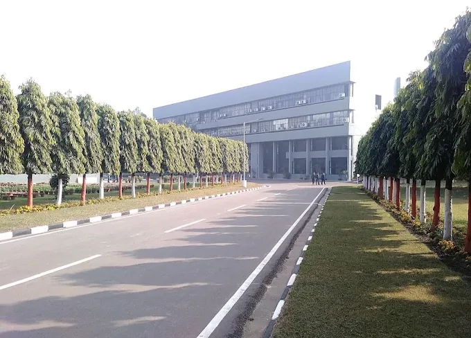 A tree-lined avenue leading to a CSIR-CSIO building